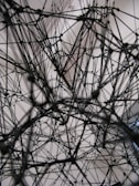 A complex network of interconnected black strings or wires forms an intricate web-like structure against a light, neutral background. The lines crisscross at various angles, creating a sense of depth and three-dimensionality.