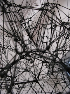 A complex network of interconnected black strings or wires forms an intricate web-like structure against a light, neutral background. The lines crisscross at various angles, creating a sense of depth and three-dimensionality.