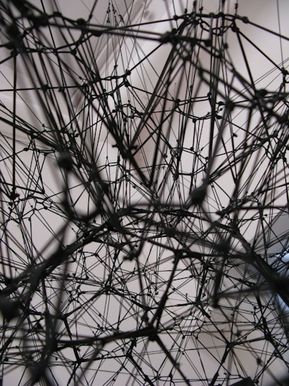 A complex network of interconnected black strings or wires forms an intricate web-like structure against a light, neutral background. The lines crisscross at various angles, creating a sense of depth and three-dimensionality.