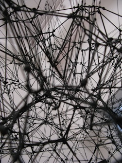 A complex network of interconnected black strings or wires forms an intricate web-like structure against a light, neutral background. The lines crisscross at various angles, creating a sense of depth and three-dimensionality.
