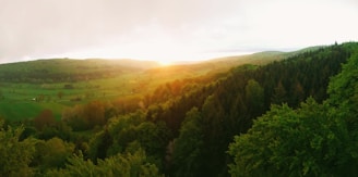 A panoramic view of a forest landscape at sunset.