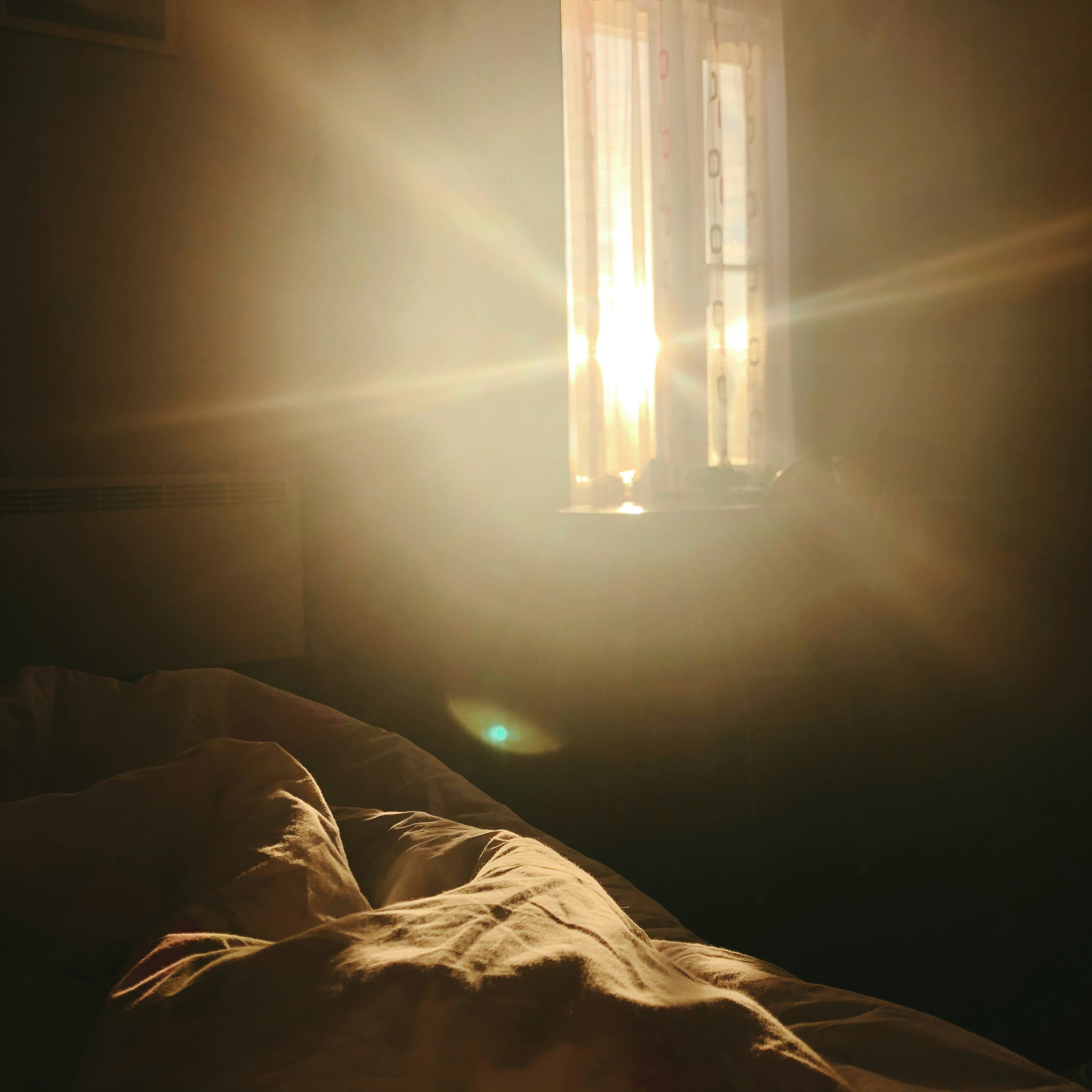 Soft morning light through gauze curtains on a bed with rumpled white sheets, gentle and intimate