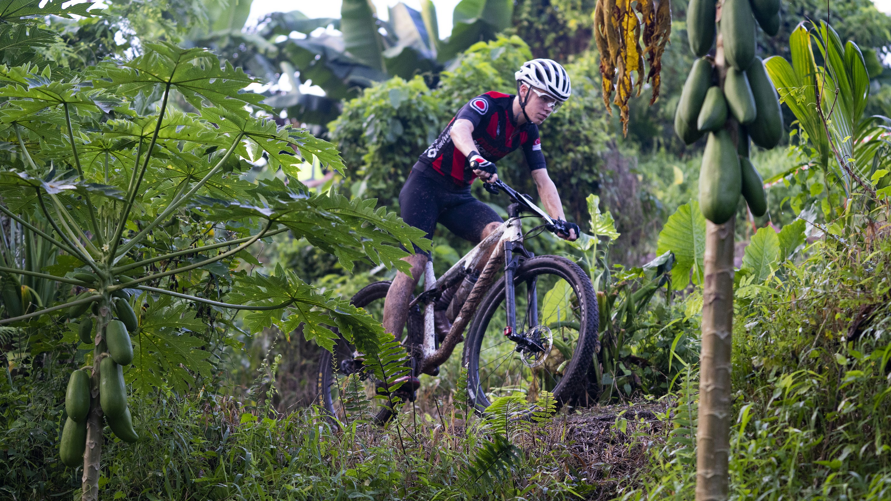 Photo by sunilcsharma