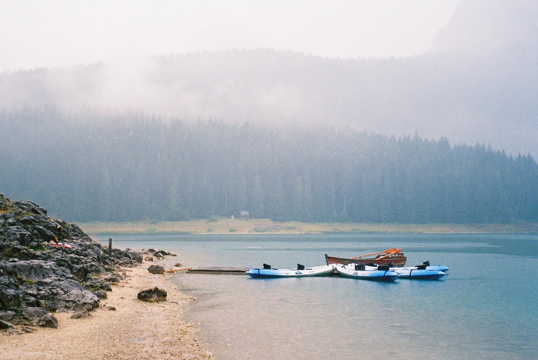 white and brown boat on lake during daytime