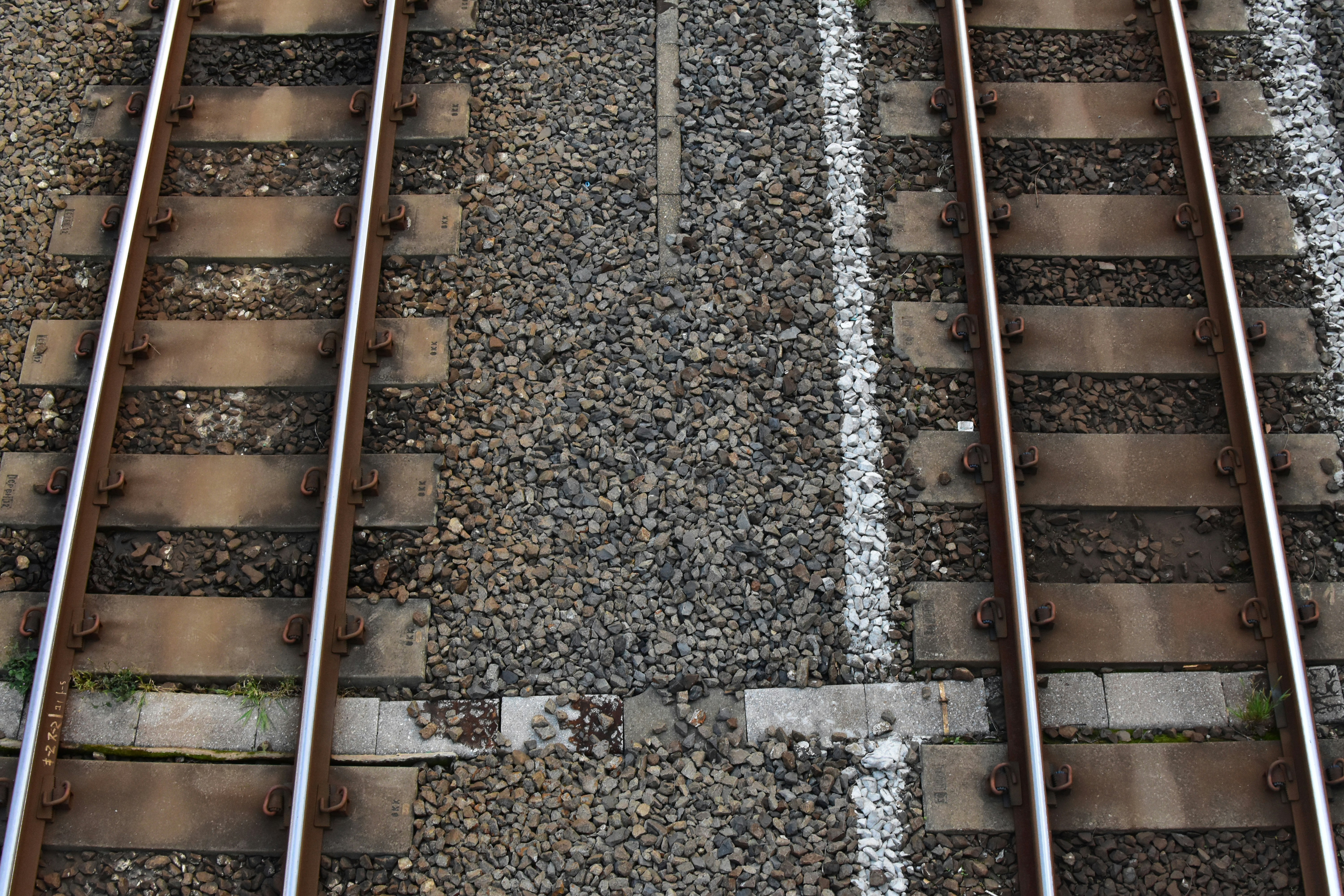 Photo by architraeveeee