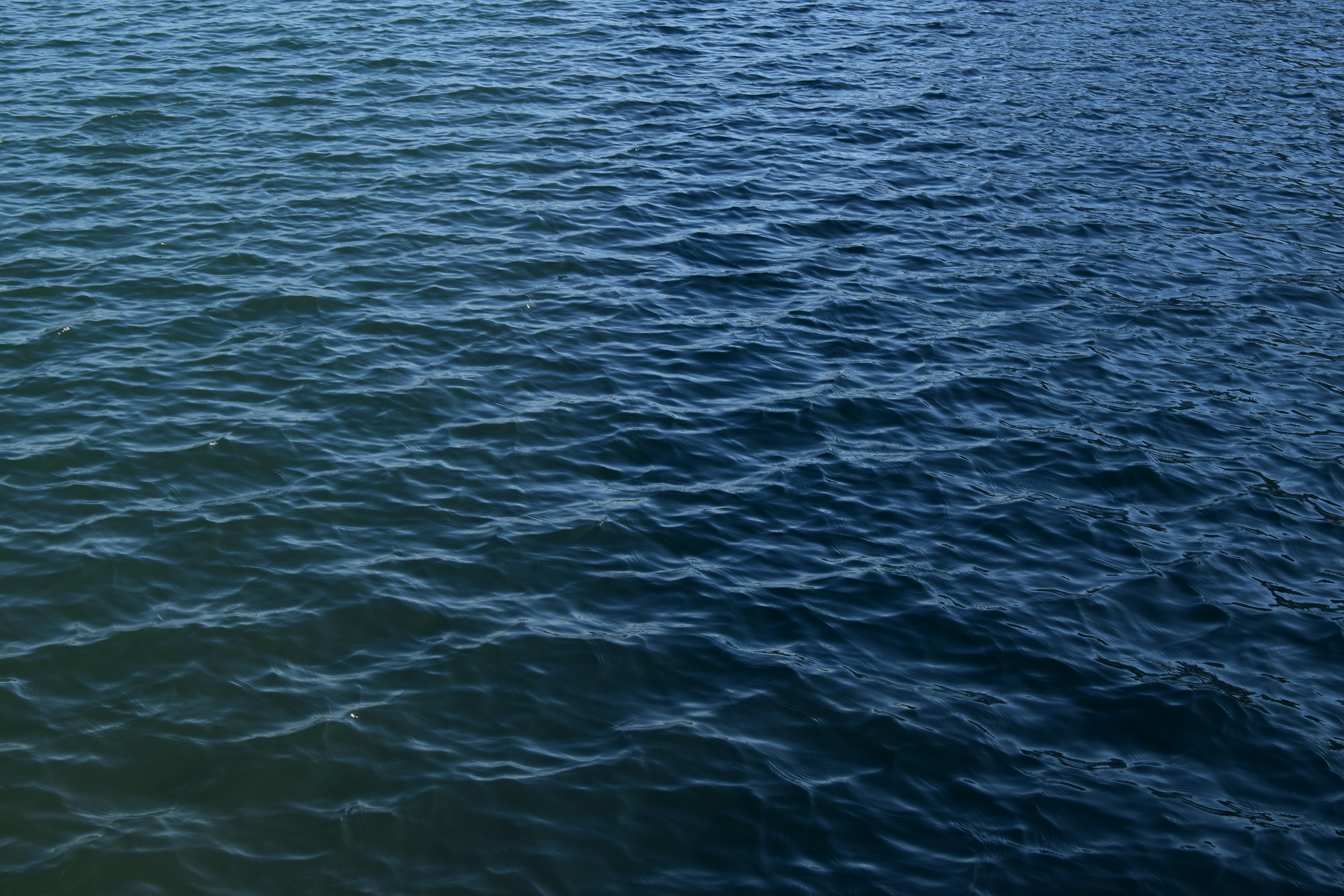 Photo by architraeveeee