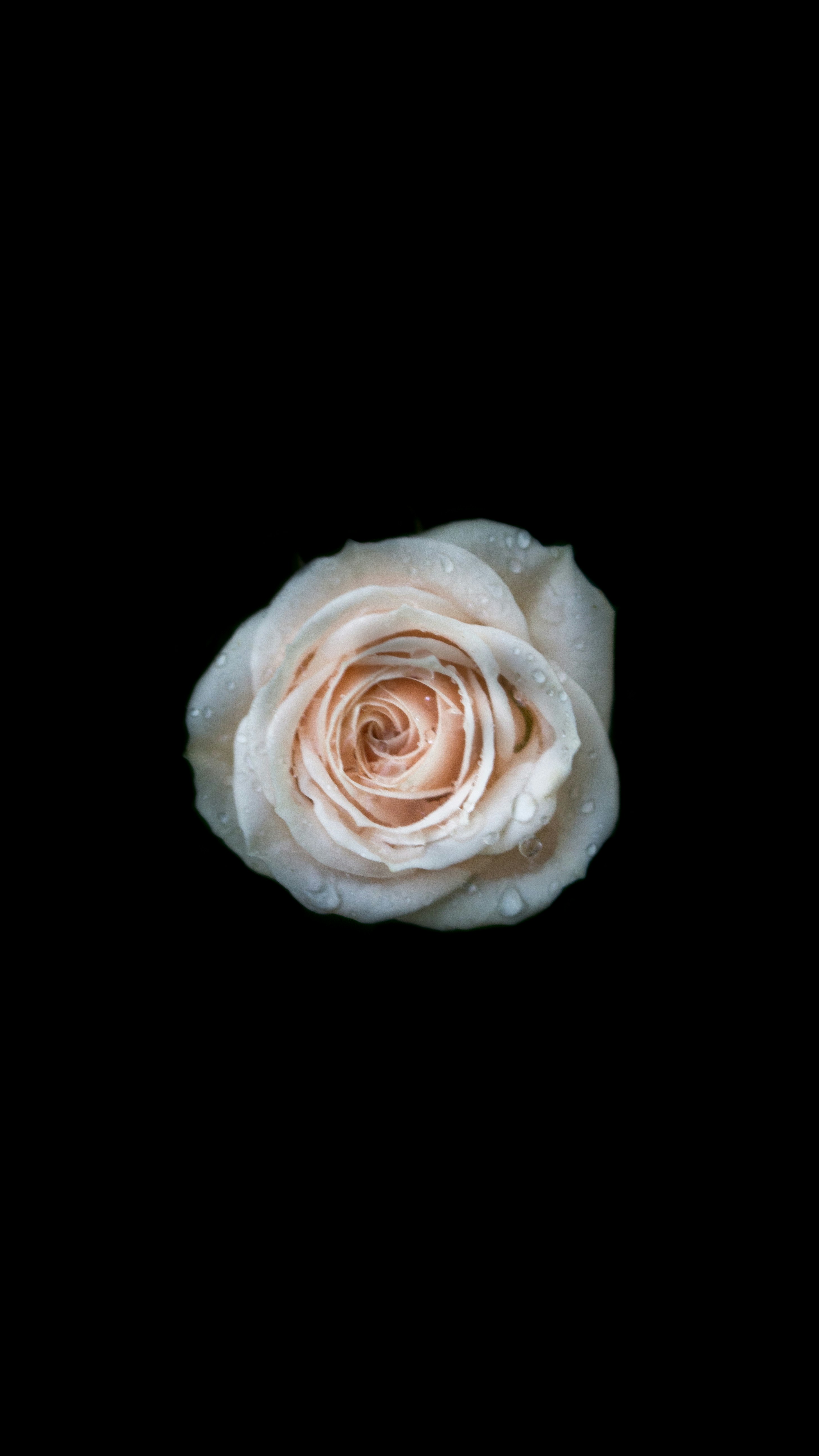 Photo by roman_lupan