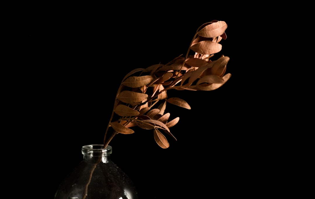 brown leaves on clear glass bottle