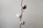 A single cotton plant branch with three fluffy white cotton bolls arranged vertically against a plain gray background. The bolls have a subtle brown husk with delicate natural textures.