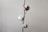 A single cotton plant branch with three fluffy white cotton bolls arranged vertically against a plain gray background. The bolls have a subtle brown husk with delicate natural textures.