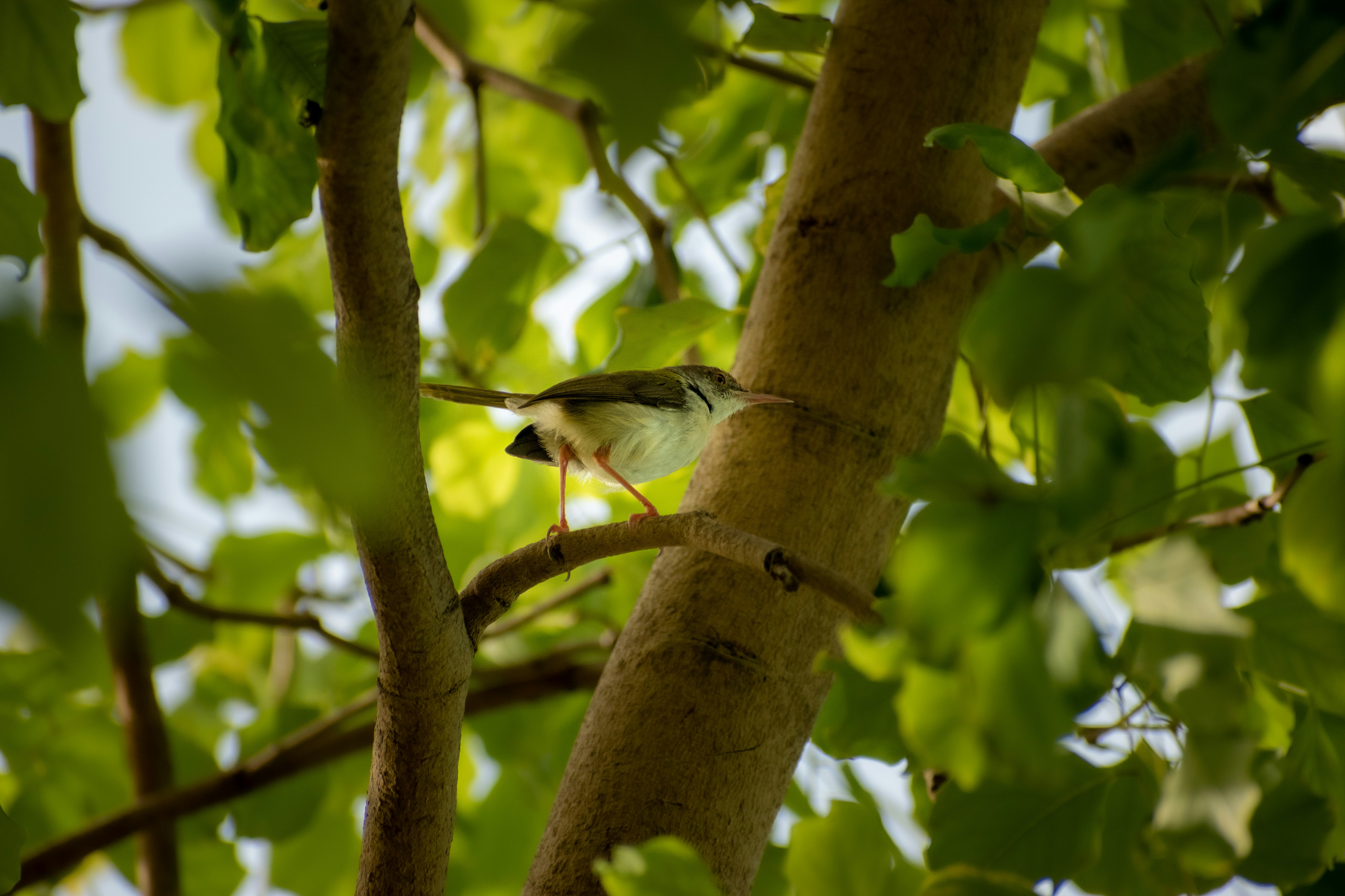 Photo by pixtagrammer