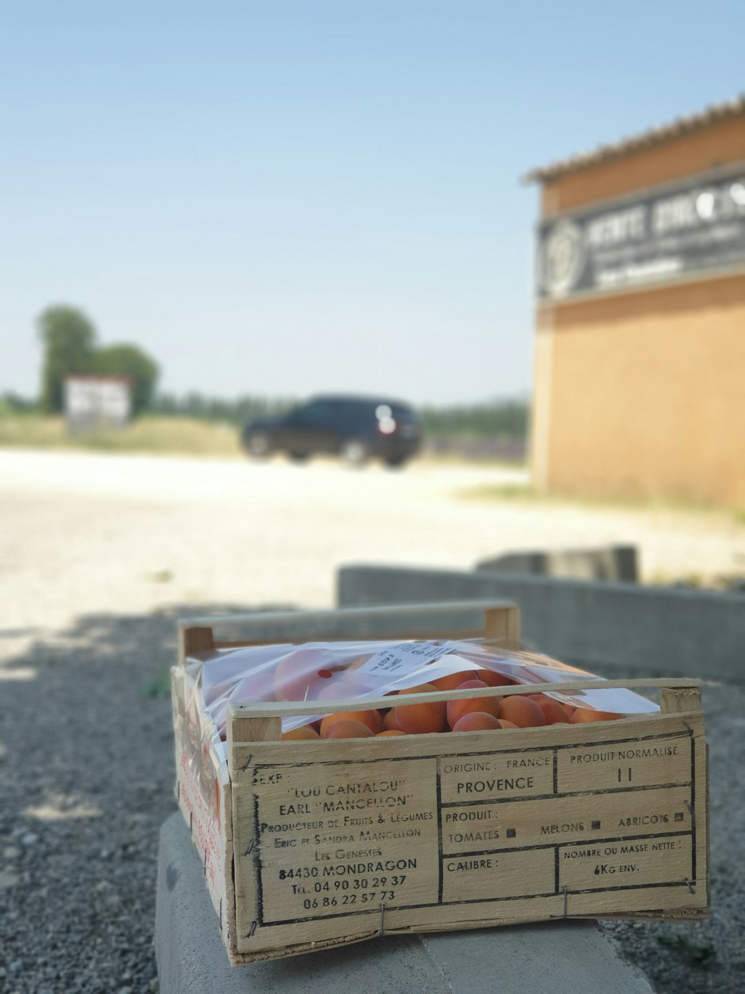 brown cardboard box on gray asphalt road during daytime