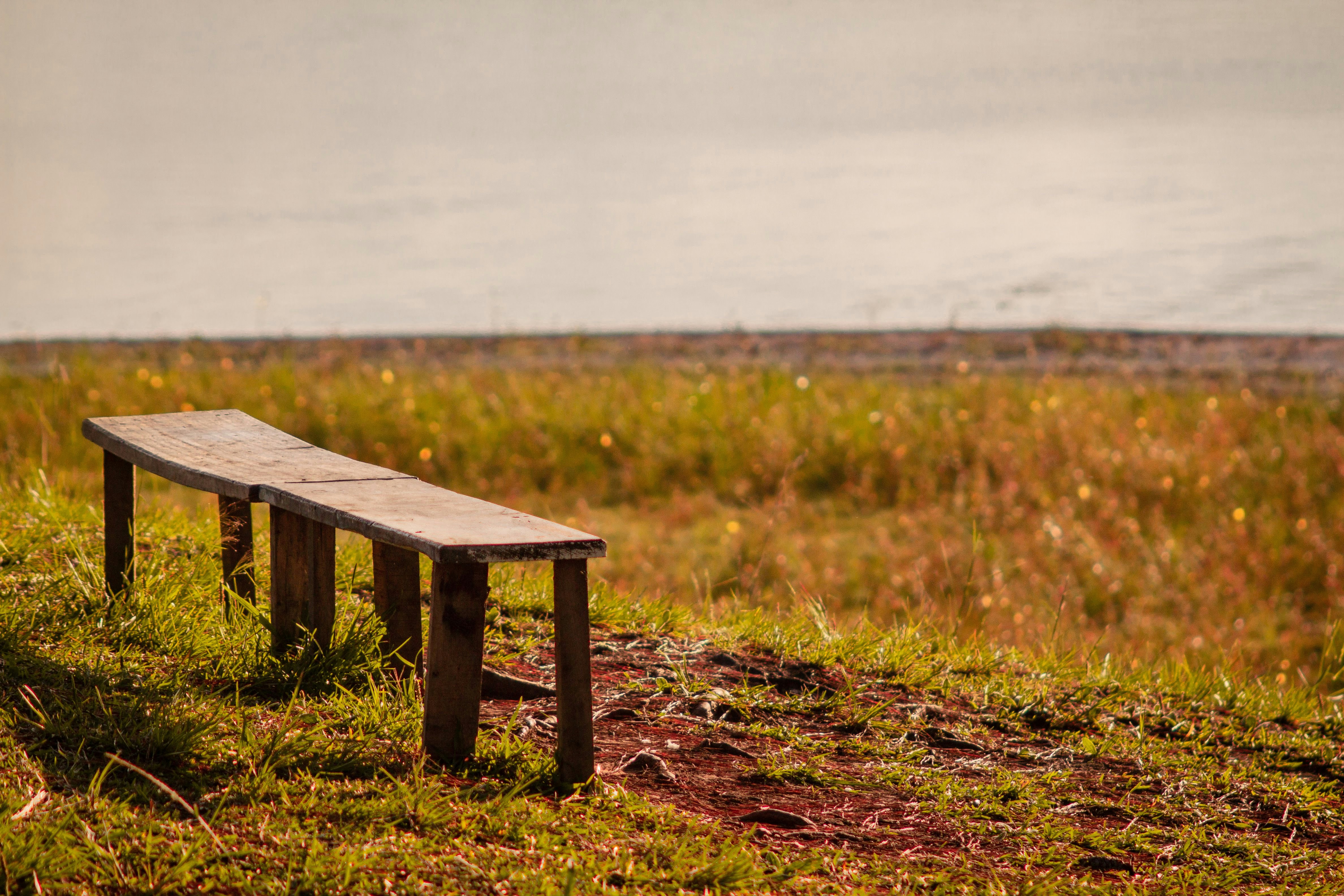 Photo by gabriel_merim