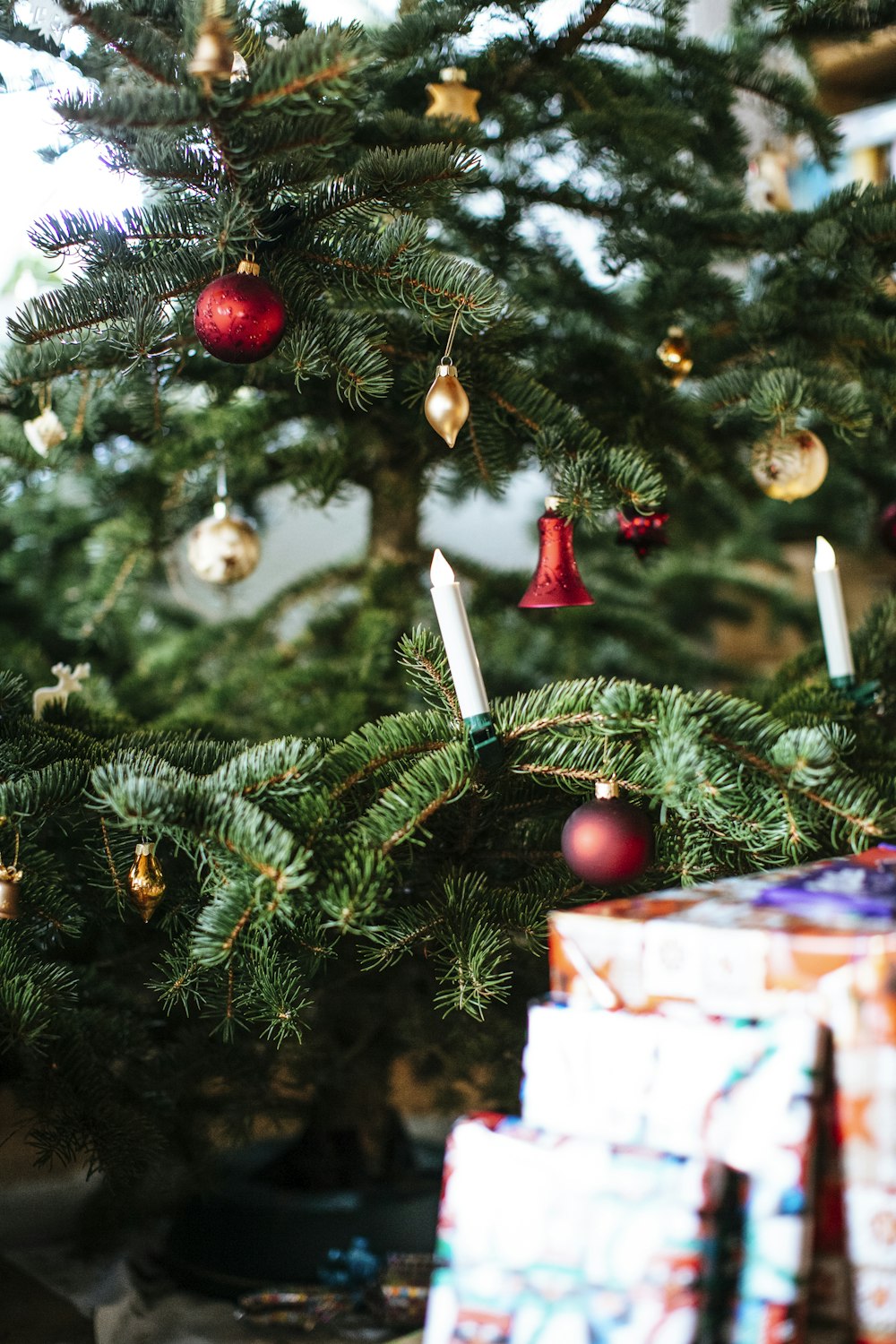 caixa de presente vermelha e branca na árvore de Natal verde