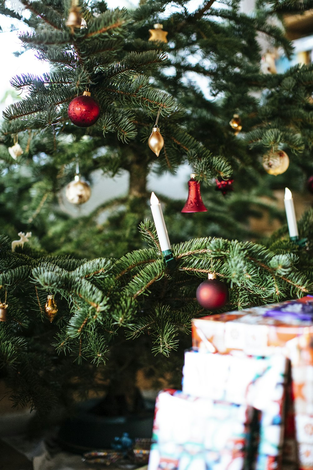 red and white gift box on green christmas tree