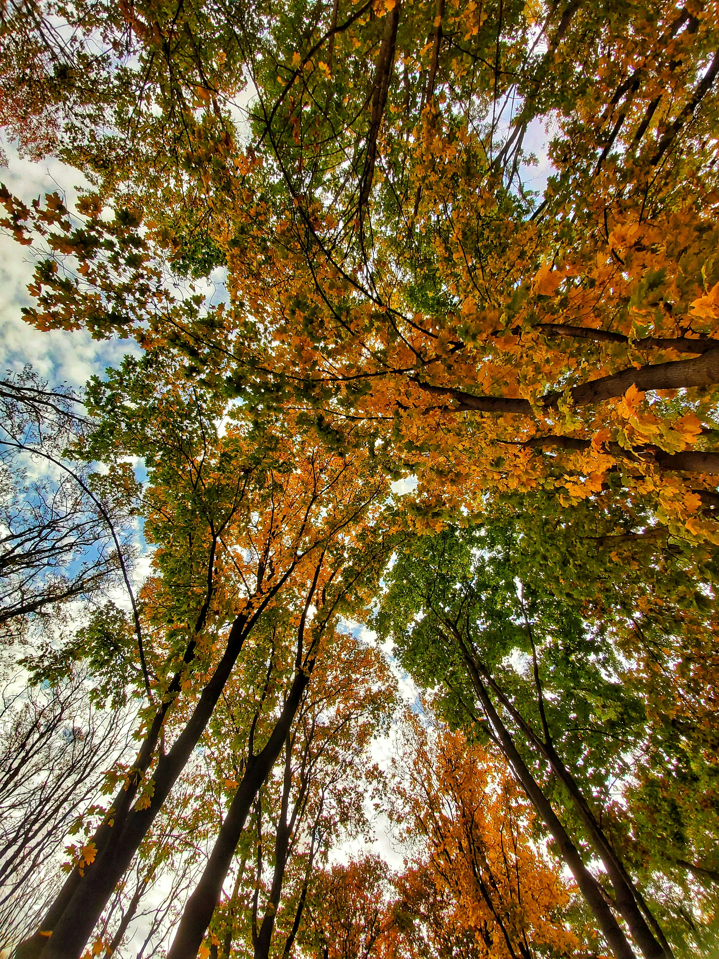 Photo by pyvovarova_yevheniia8