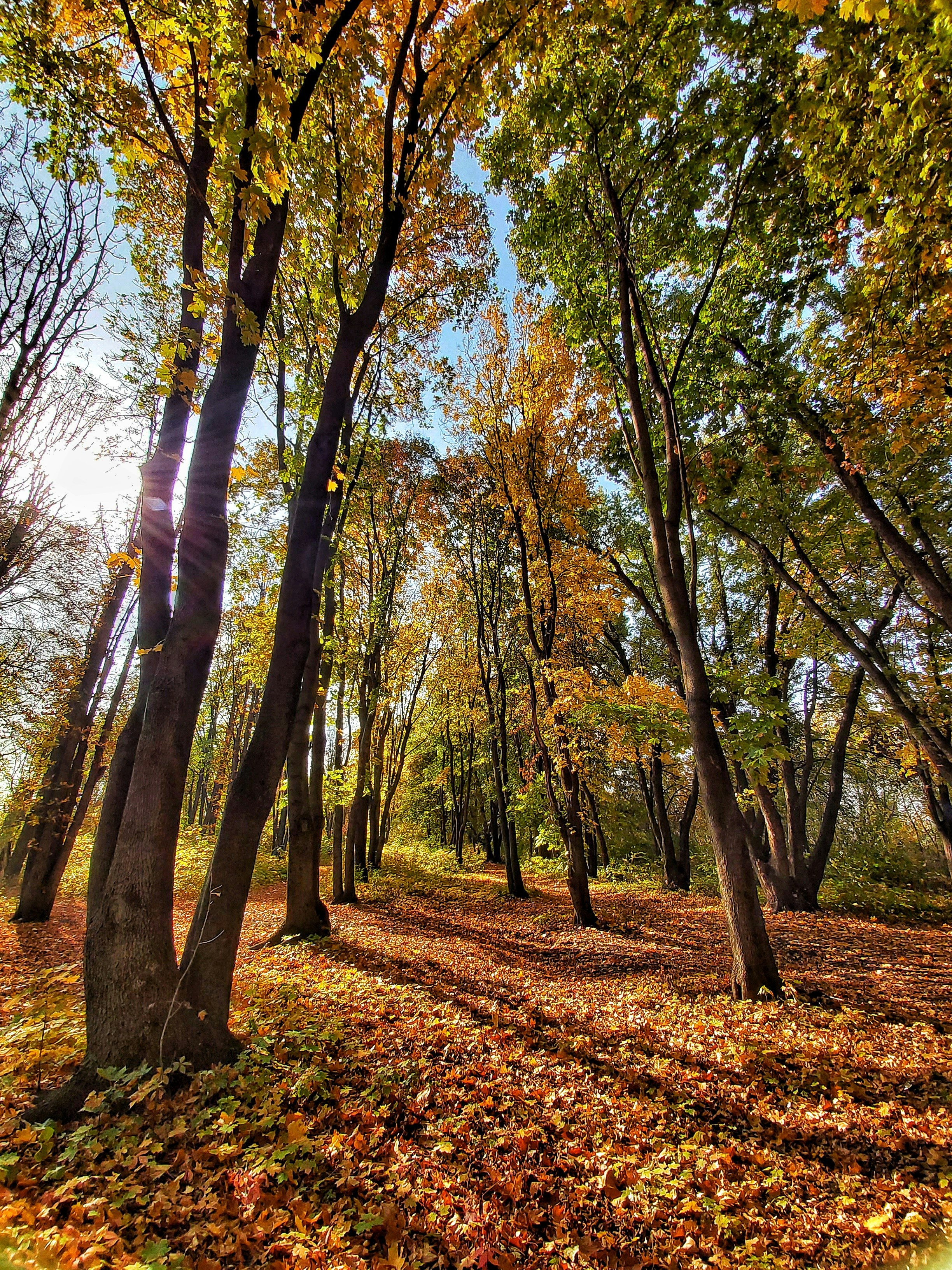 Photo by pyvovarova_yevheniia8