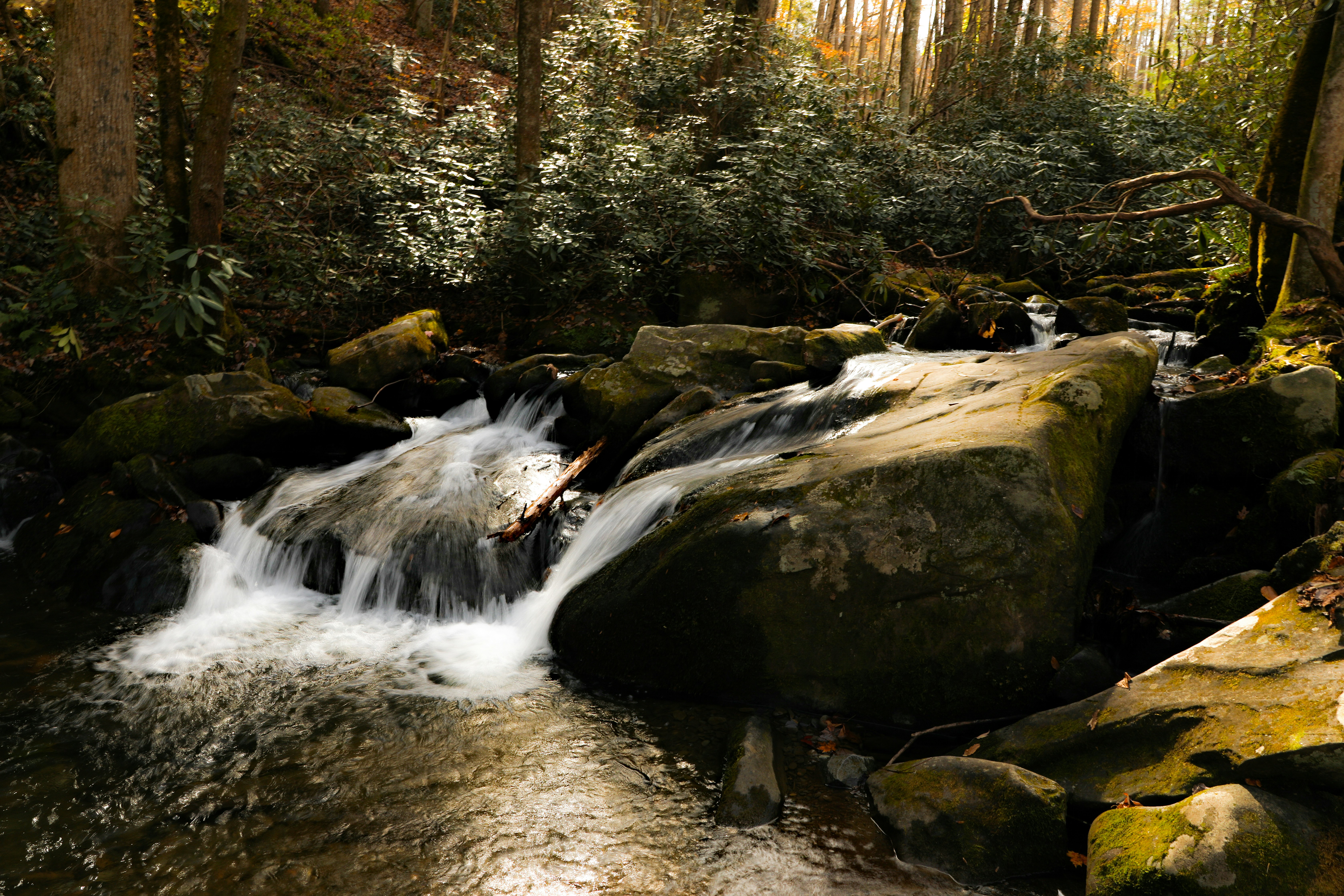 Photo by michaelbweidner