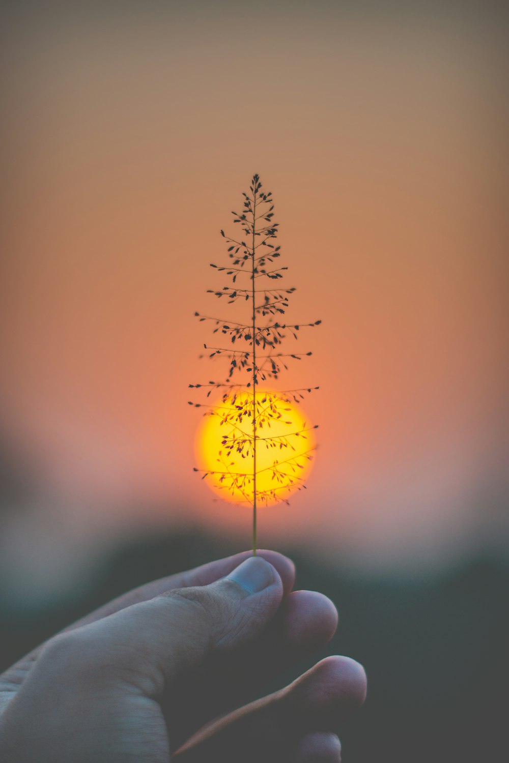 person holding yellow round ornament