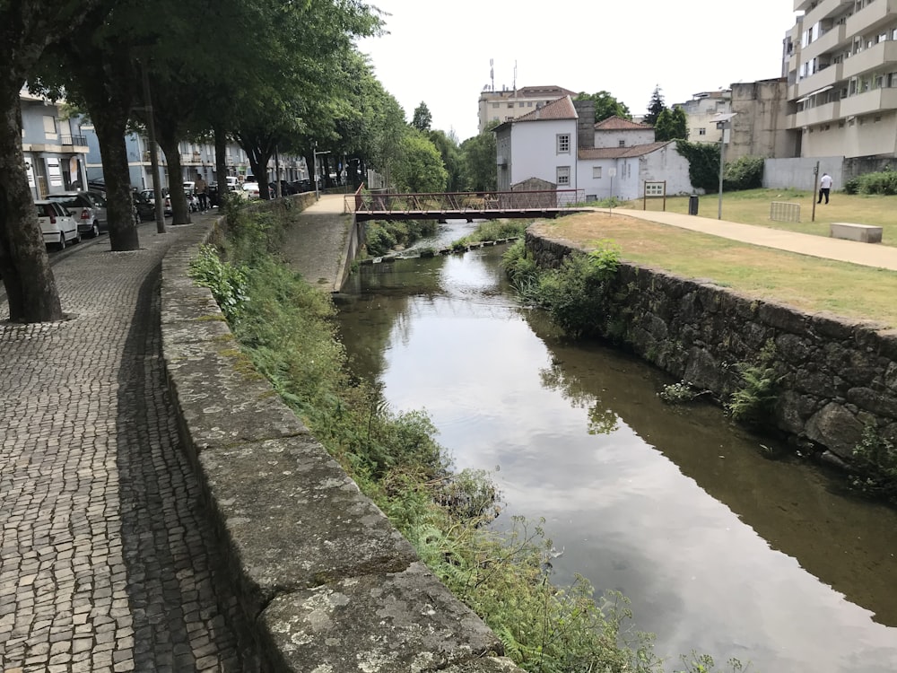 rivière entre l’herbe verte et les arbres pendant la journée