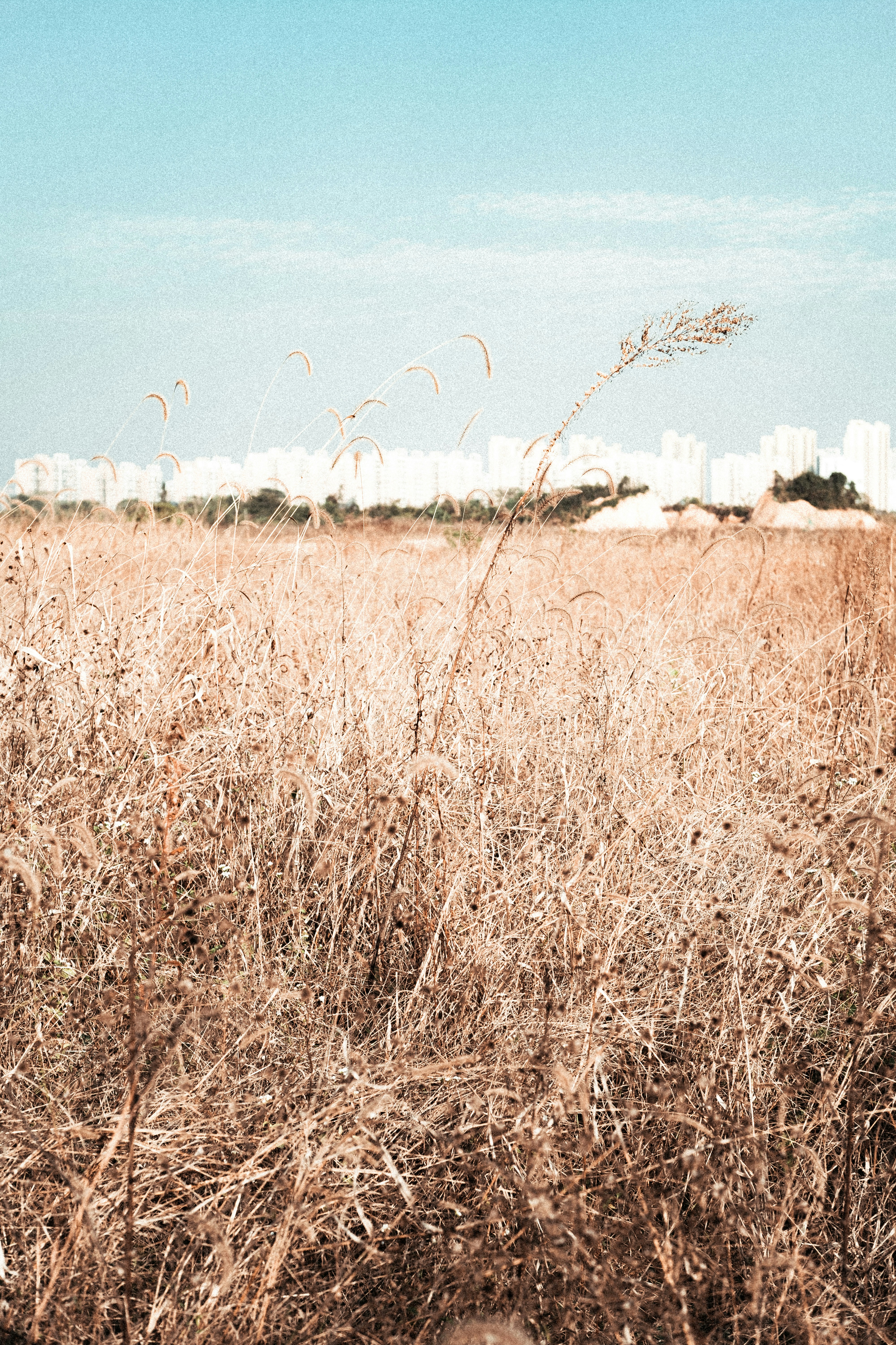 Photo by xiexianghua