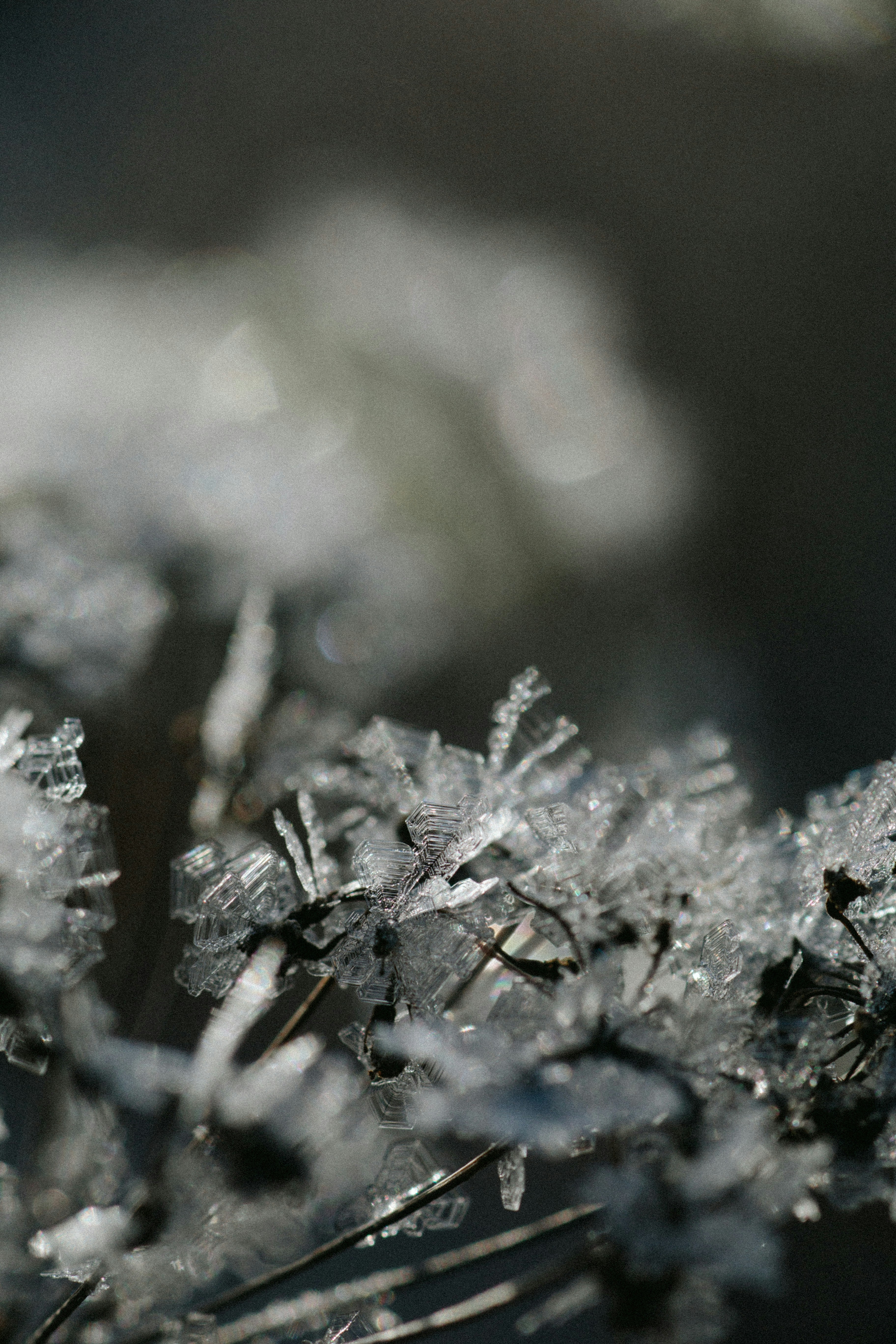 플라즈마 표면개질cold plasma