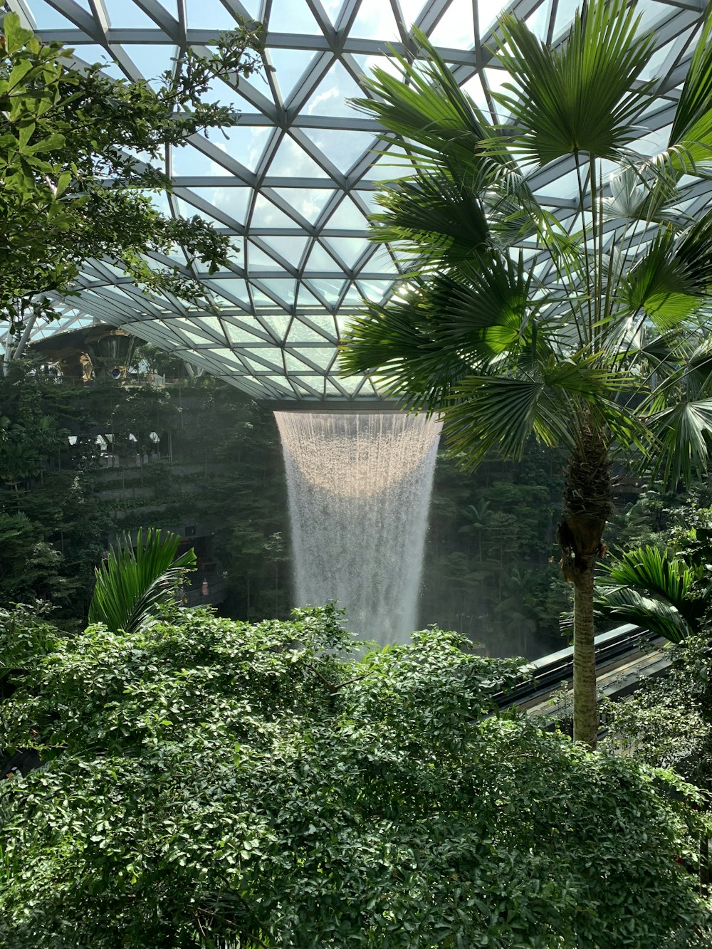 green trees near water fountain