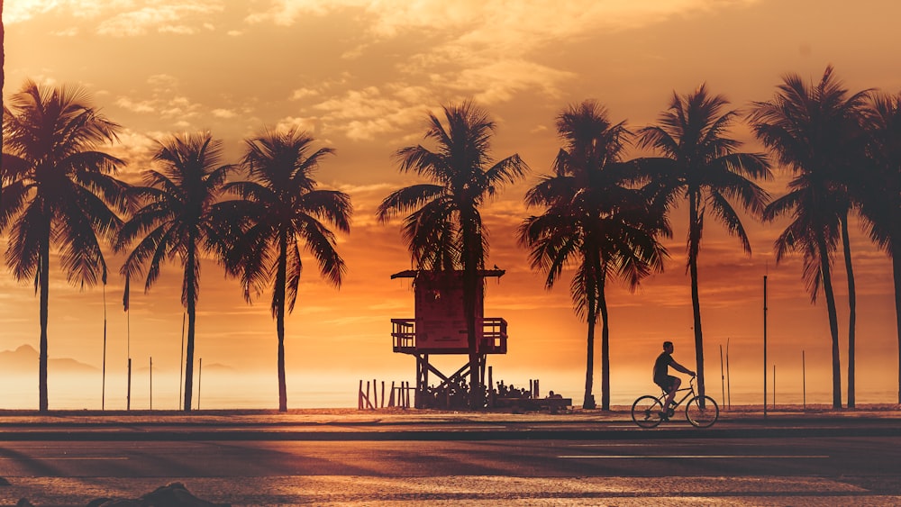 silhueta de palmeiras perto da praia durante o pôr do sol
