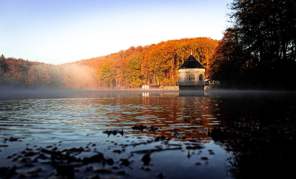 casa branca e marrom no lago perto de árvores durante o dia