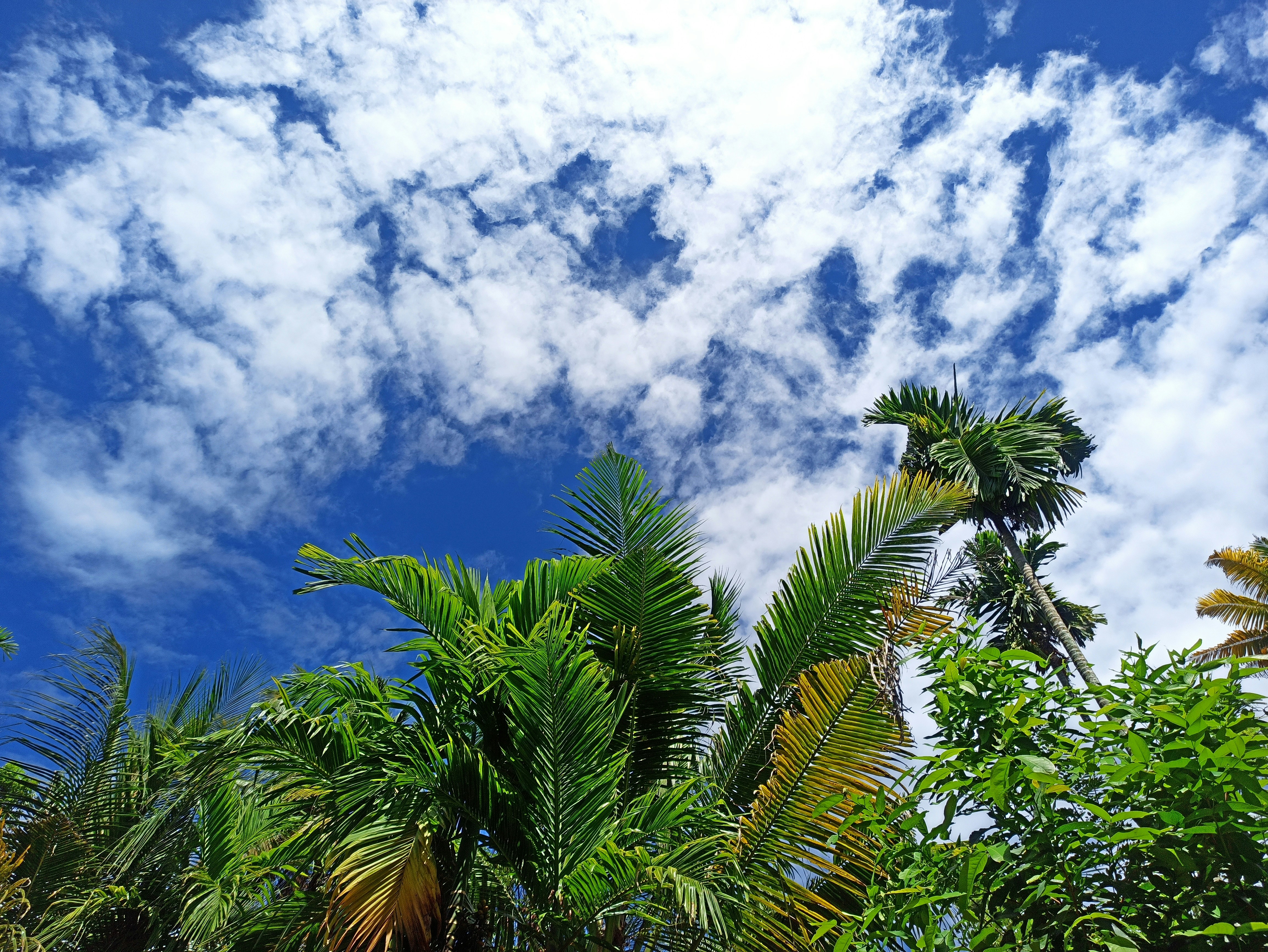 Photo by parvathy_parthasaradhy