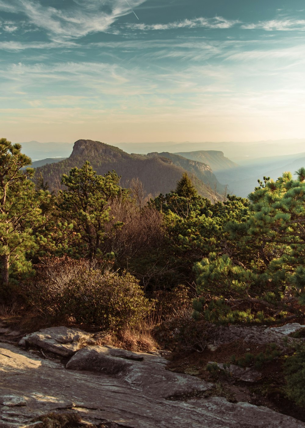 green trees on brown mountain under blue sky during daytime