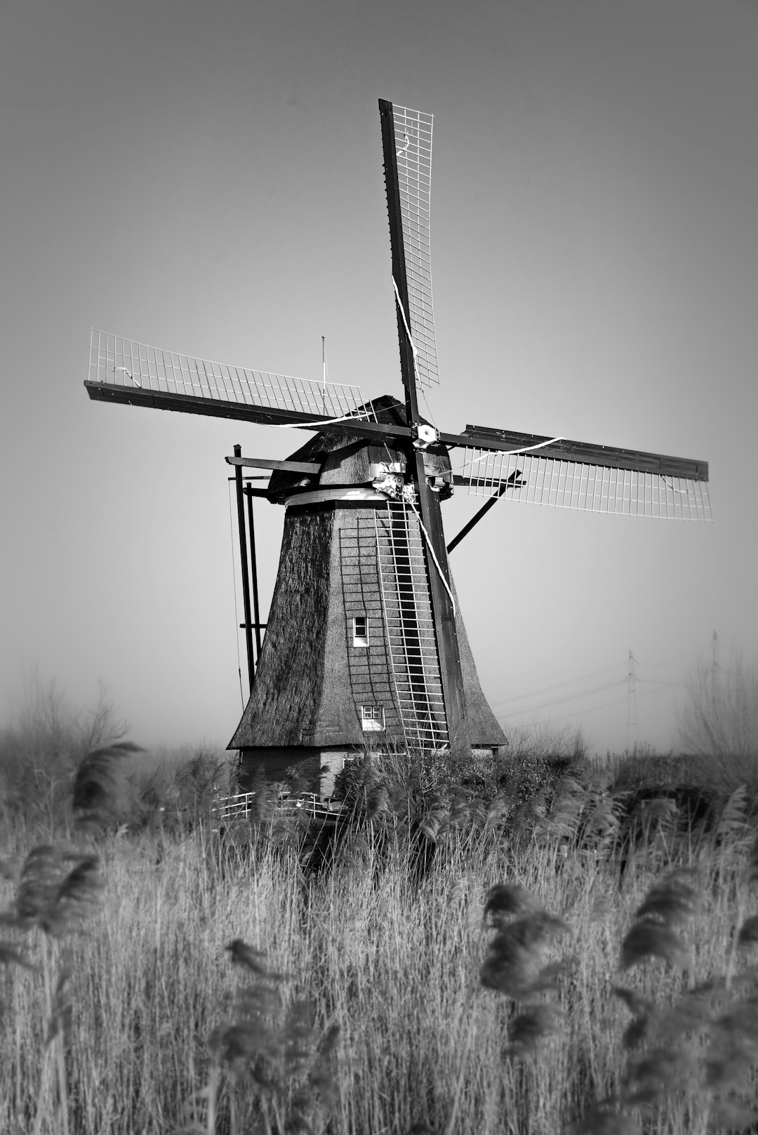 windmill in the middle of grass field