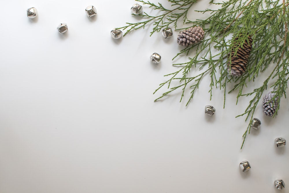 green cactus plant on white table