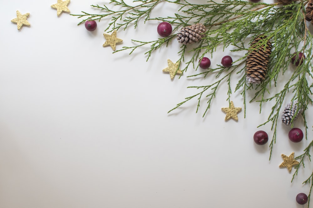 Christmas Border Pictures | Download Free Images on Unsplash