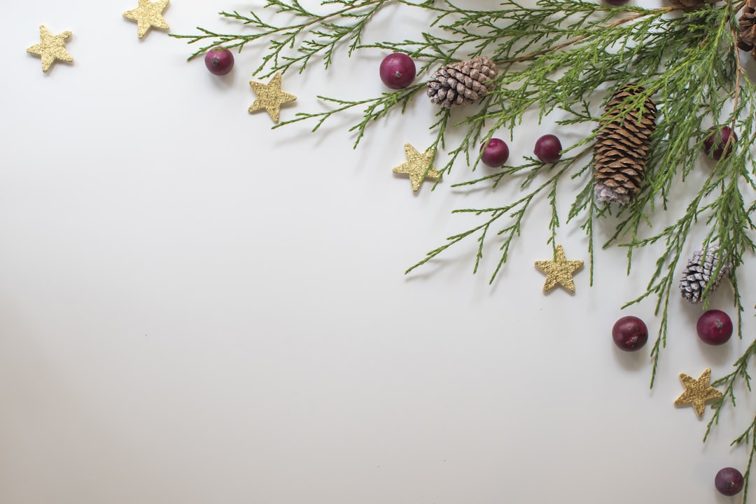 green and red pine cone, Festive Winter Greenery Flat Lay Background
