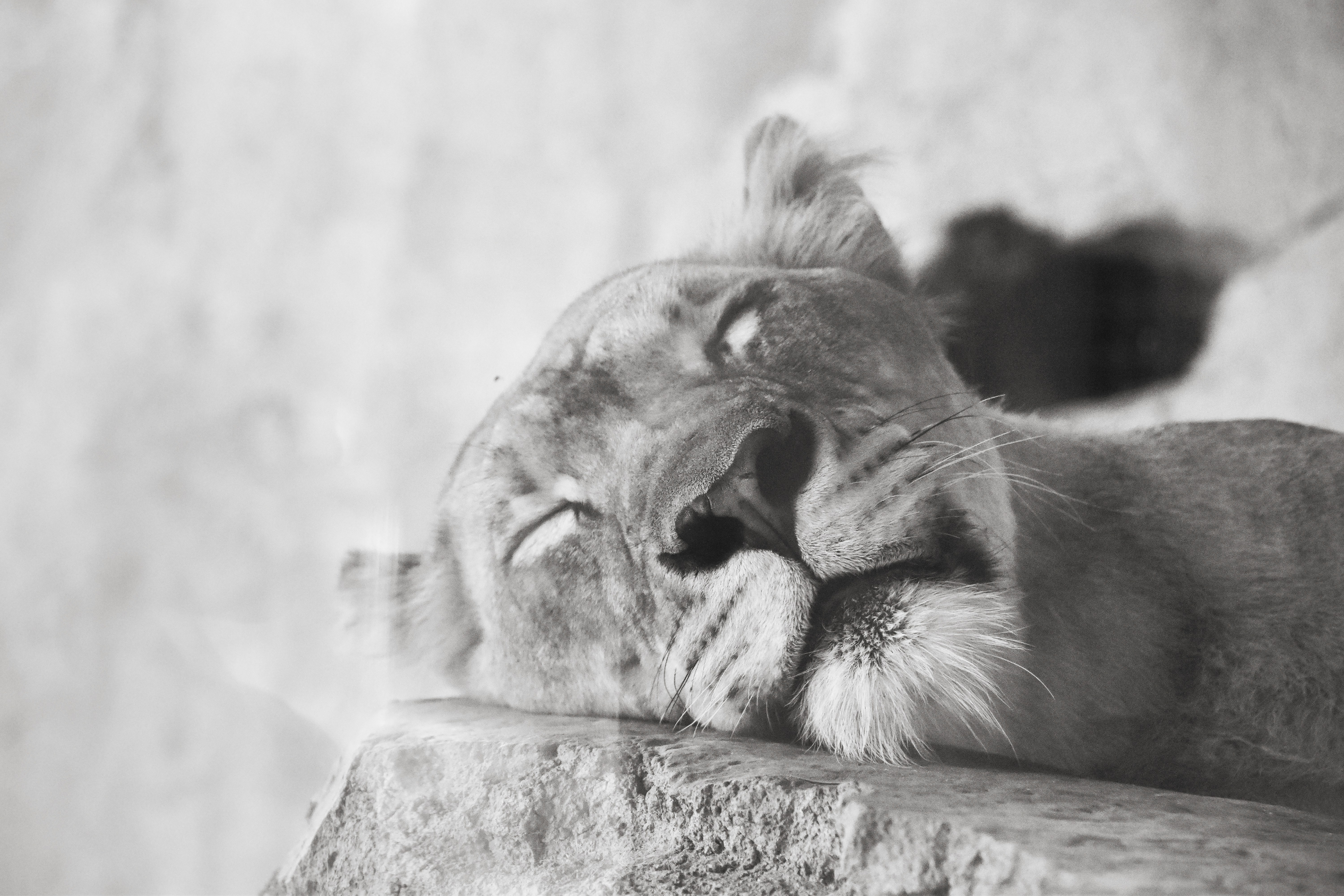 Events this week in Elk Grove – Week of January 9