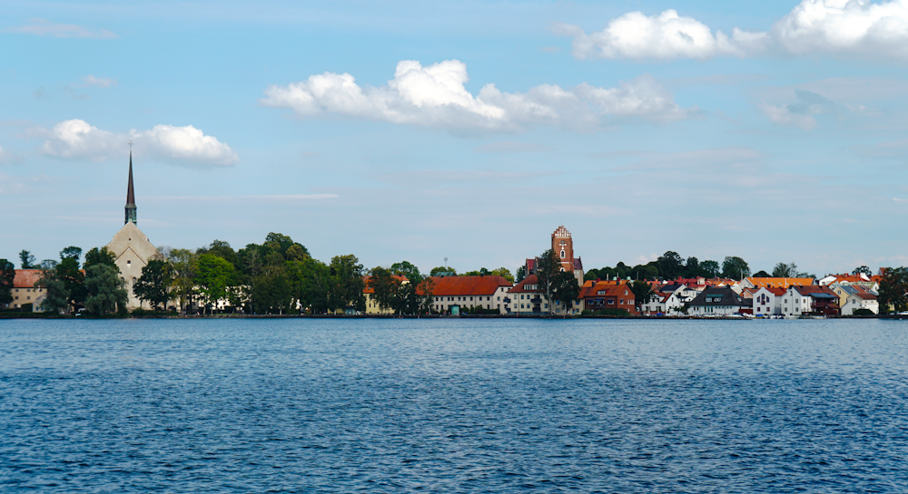 green trees near body of water during daytime