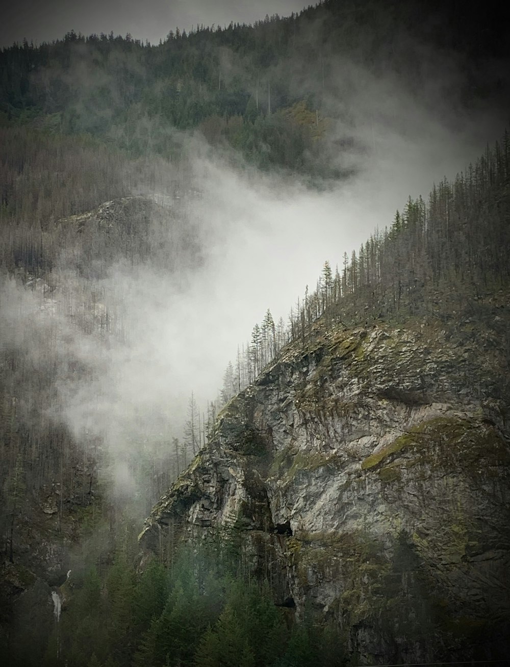 montagne verte et brune couverte de brouillard