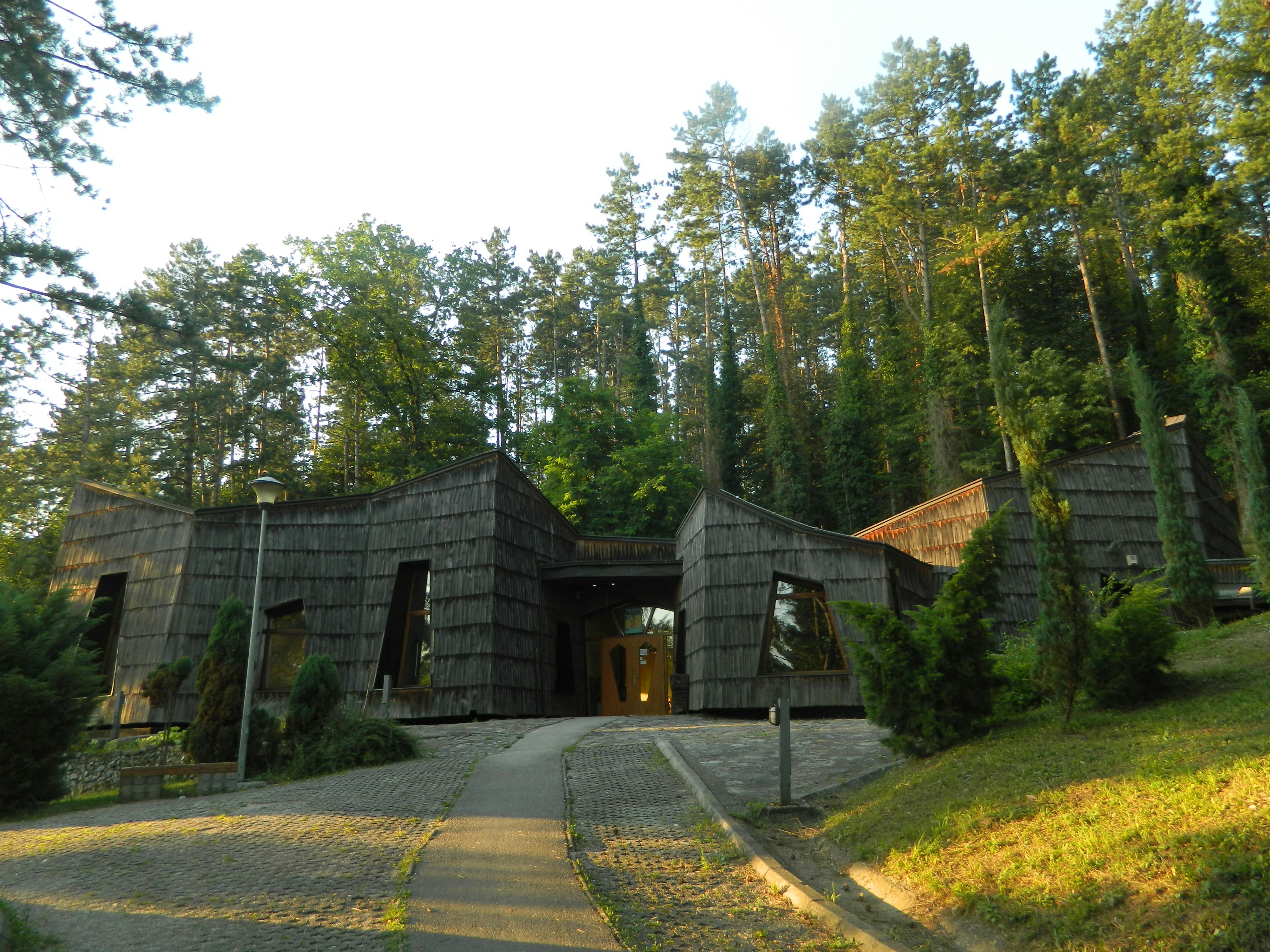 Photo by maphotography