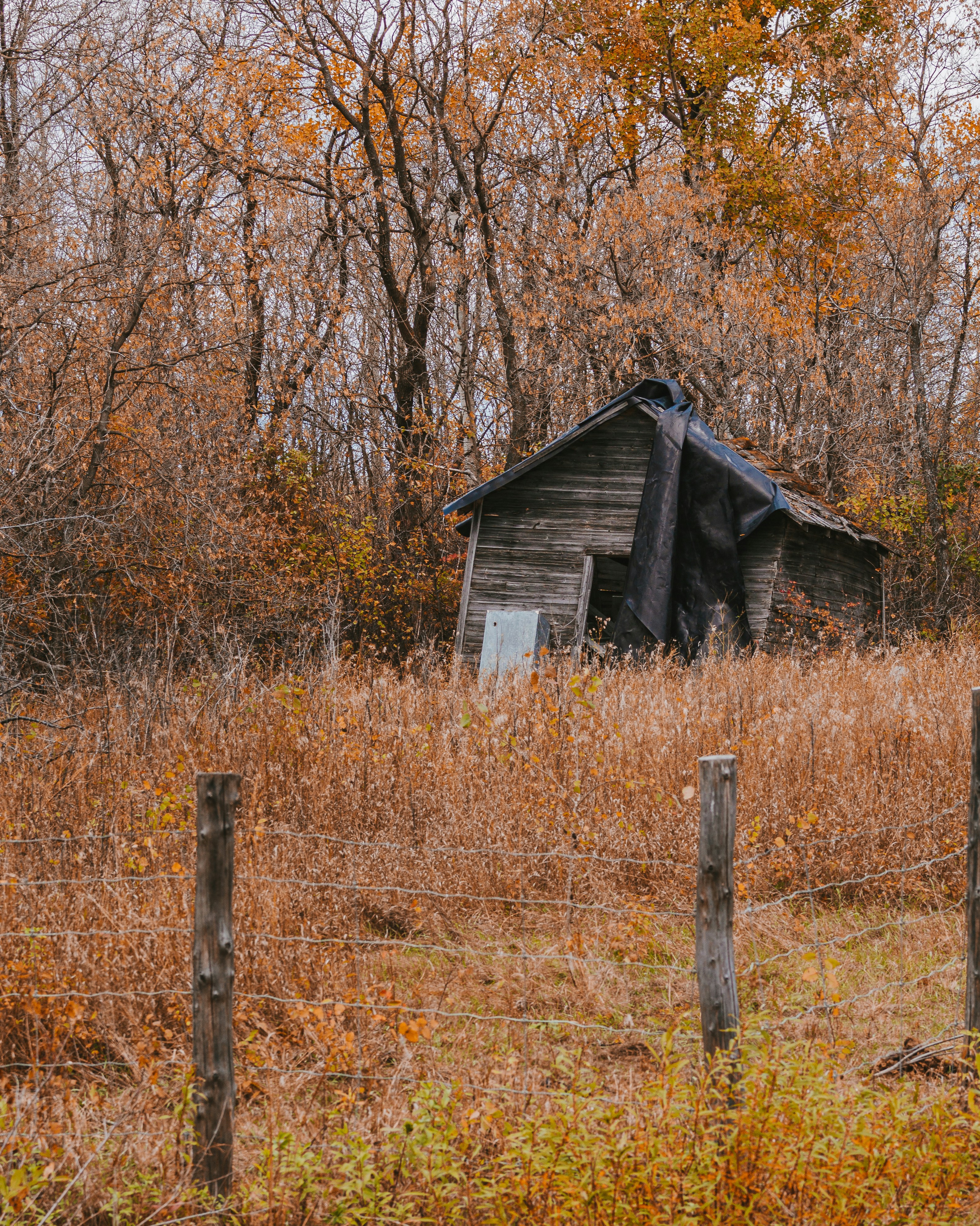 Photo by jobankhangura