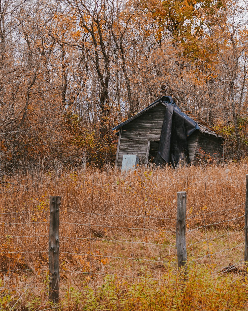 brown wooden house in the middle of brown grass field