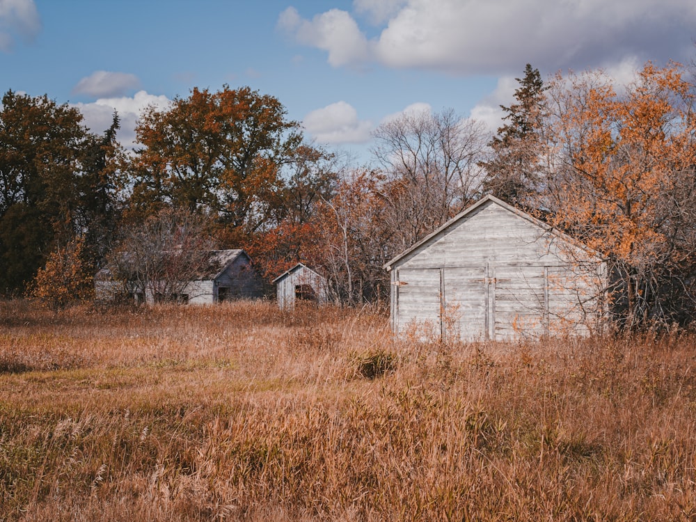 white wooden house near brown trees under white clouds during daytime