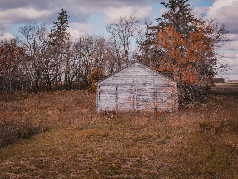 white wooden house near brown trees under white clouds during daytime