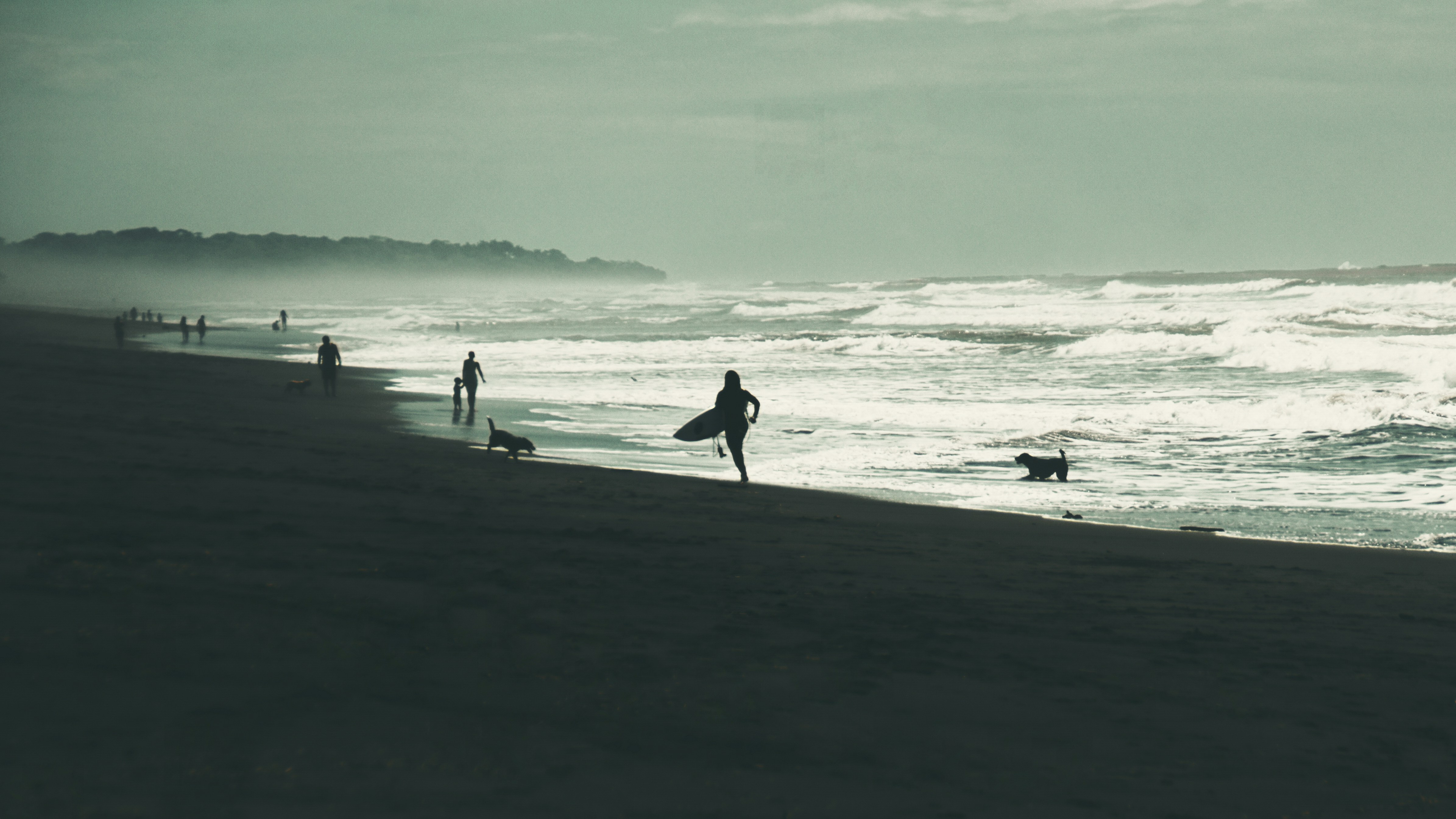 people walking on beach during daytime