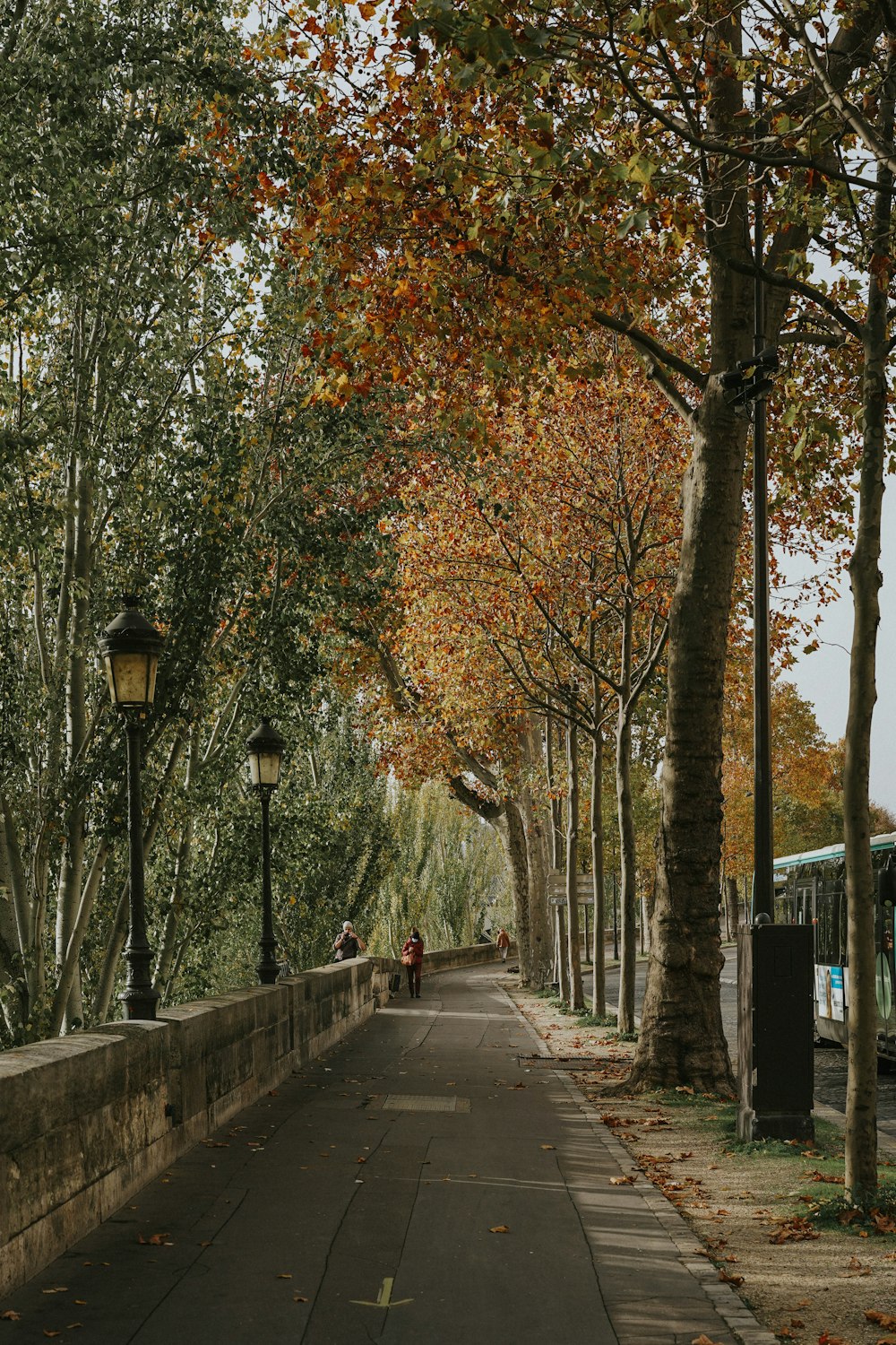 people walking on sidewalk near trees during daytime