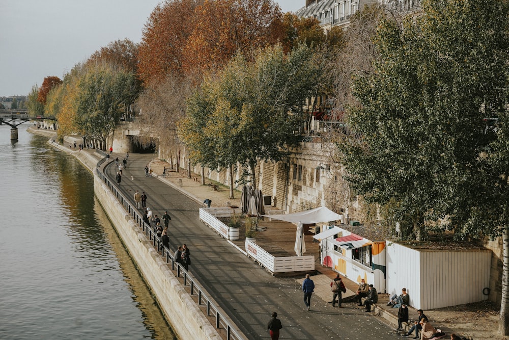 people walking on sidewalk near body of water during daytime