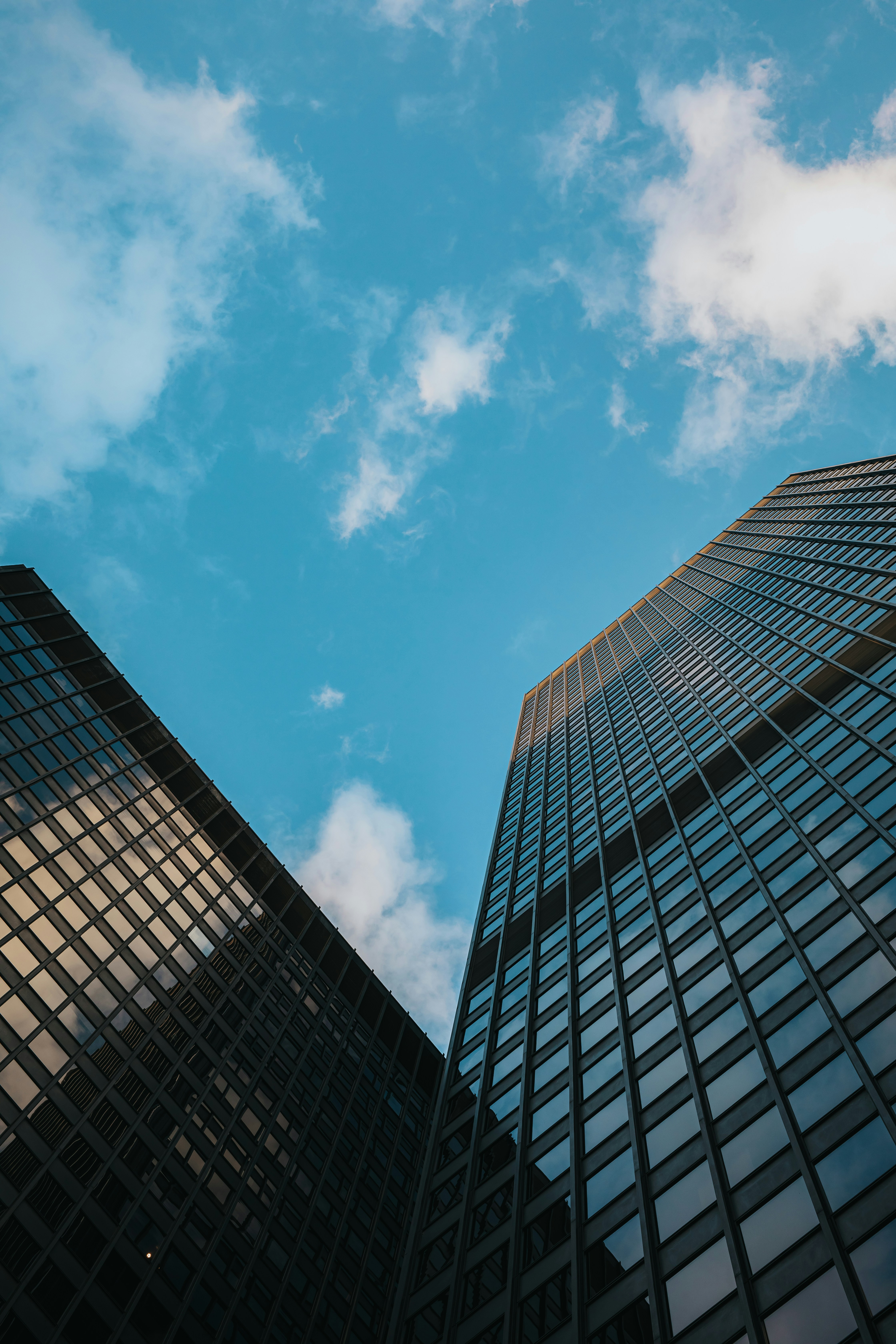 Photo by donovan_valdivia