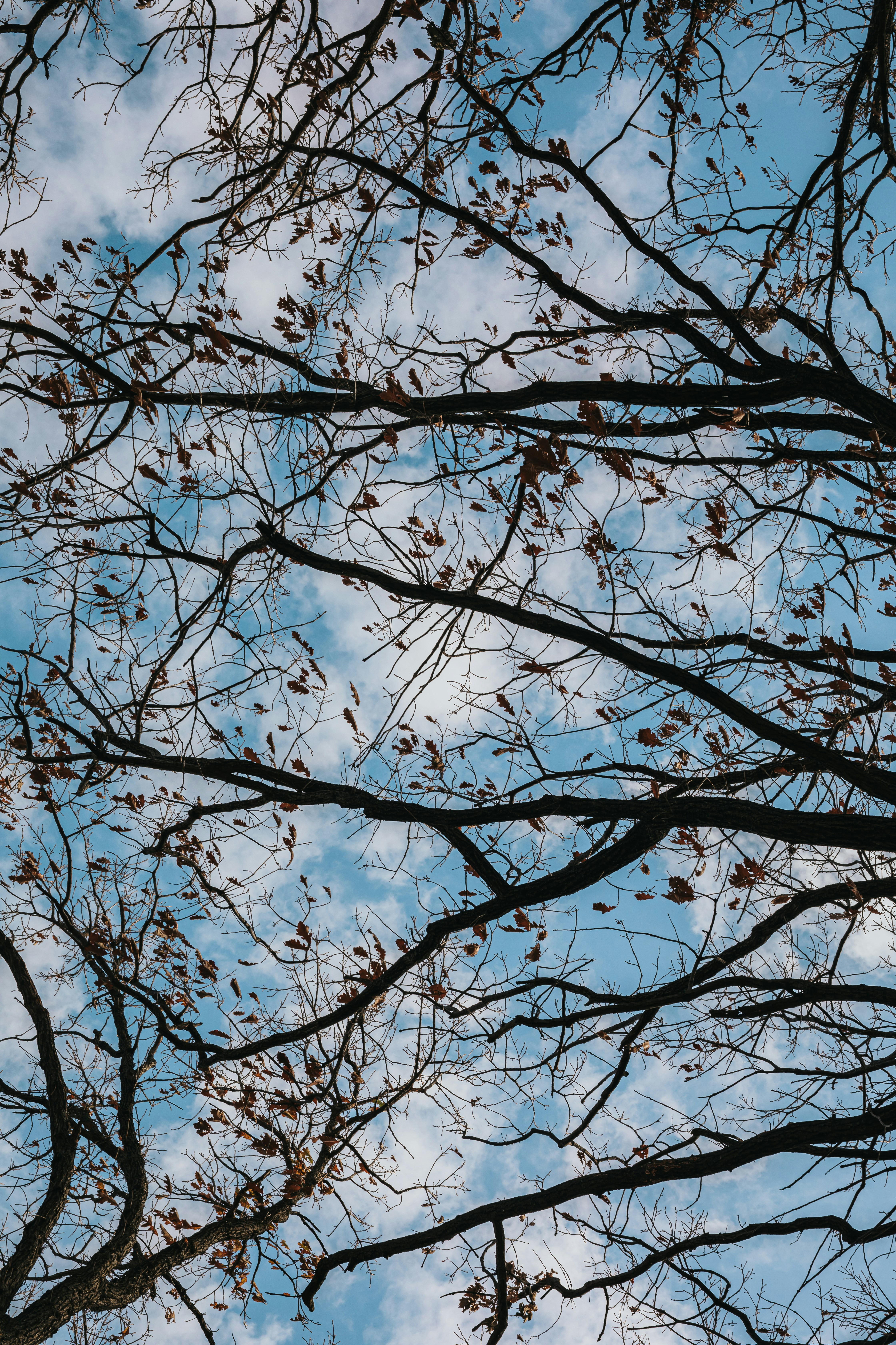 Photo by donovan_valdivia