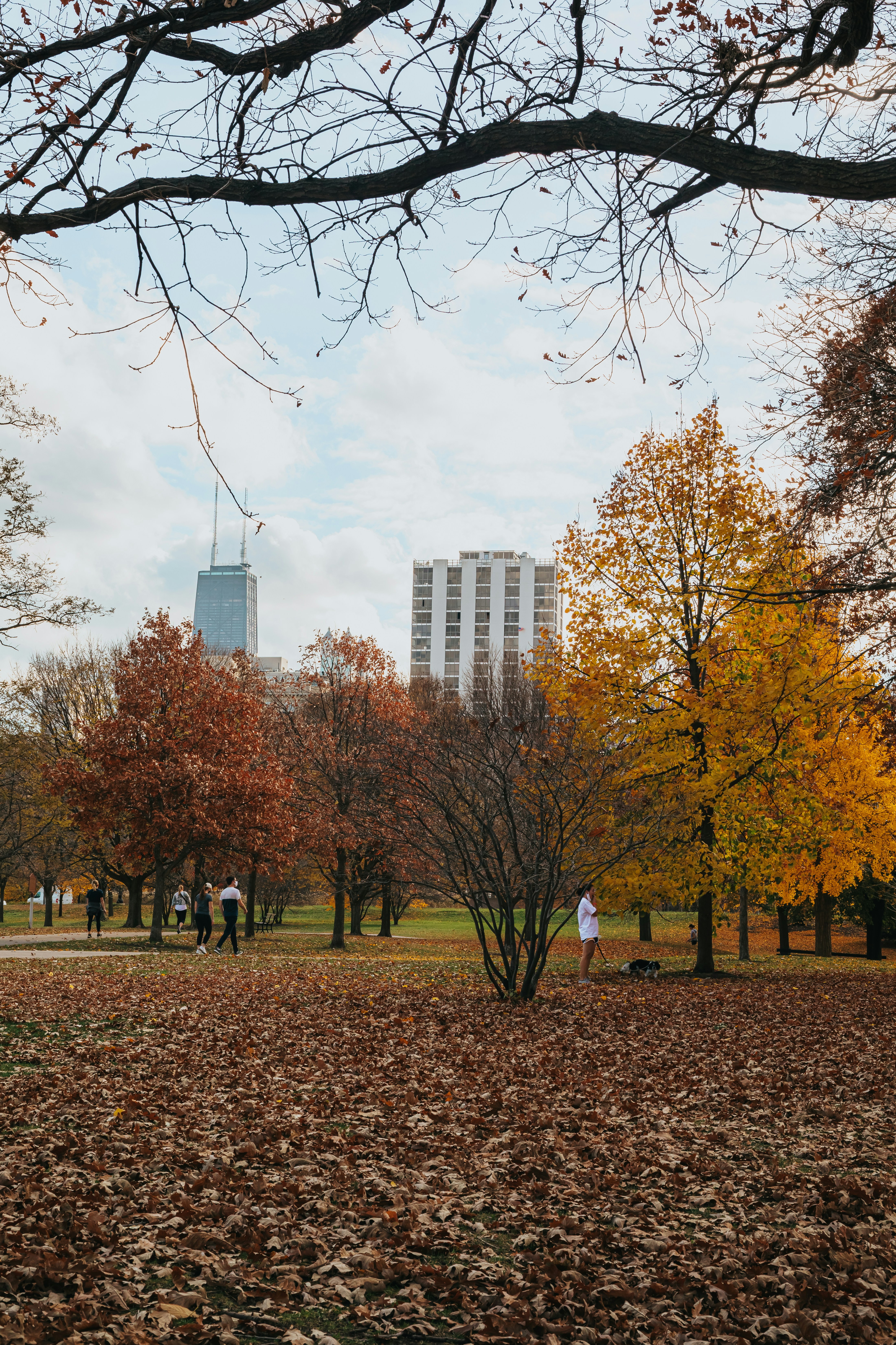 Photo by donovan_valdivia