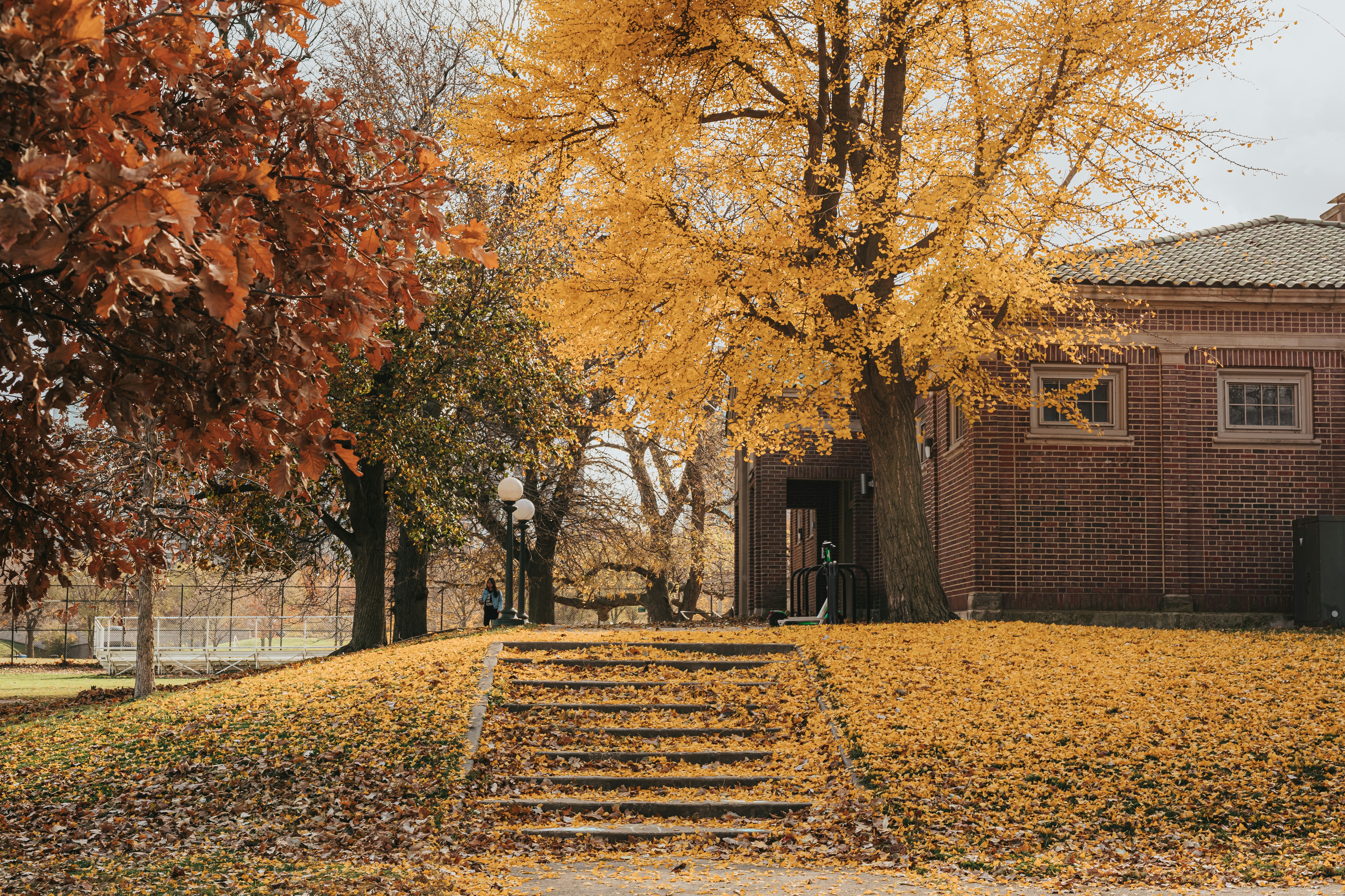 Photo by donovan_valdivia